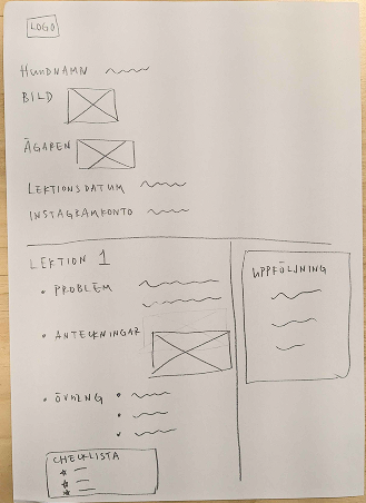 Hand-drawn wireframe of the individual dog profile with lesson notes