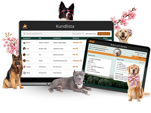 Final Hund i balans database shown on desktop and iPad with dogs around it
